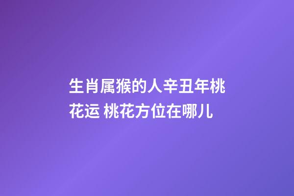 生肖属猴的人辛丑年桃花运 桃花方位在哪儿